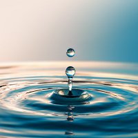 Solent Research (@solentresearch) 's Twitter Profile