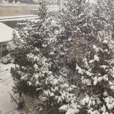 man4snow's profile picture. 