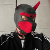 Daytek (@greg_jaw) 's Twitter Profile