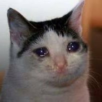 Lua_Lyly04's profile picture. “Sometimes, you just have to lower your expectations to avoid unnecessary disappointments”