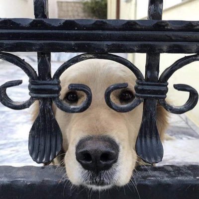 chillinrq's profile picture. atoa