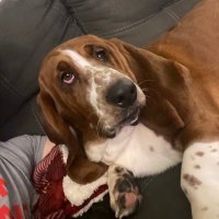 DehZoh (@idehzoh) 's Twitter Profile Photo