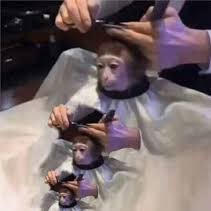 Bone_legs's profile picture. 