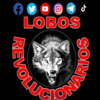 Lobos Revolucionarios(@lobosrev02) 's Twitter Profile Photo