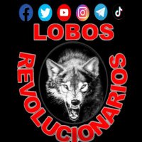 Lobos Revolucionarios (@lobosrev02) 's Twitter Profile Photo Lobos Revolucionarios (@lobosrev02) 's Twitter Profile Photo