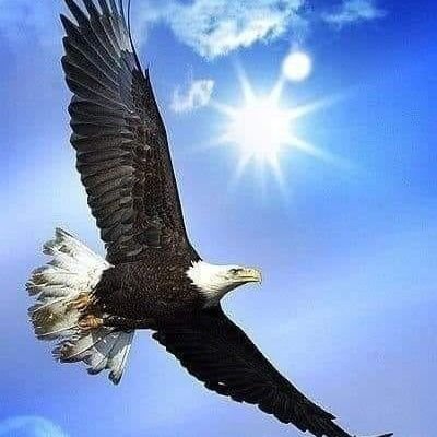 sb183758's profile picture. 