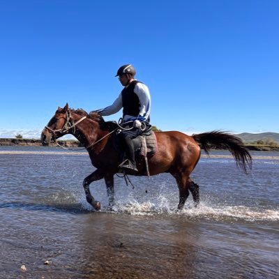 shao_cx's profile picture. M.D neurologist peace and love