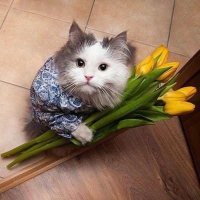 MFF ochiq havoda jinsiy aloqa Esinbayeva va geylar