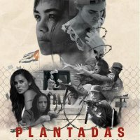 Plantadas Film (@plantadasfilm) Twitter profile photo
