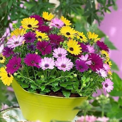 Faisal_Uddin143's profile picture. 