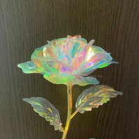 雪月花(せつか)🌂 (@se2ka_cinemanga) Twitter profile photo