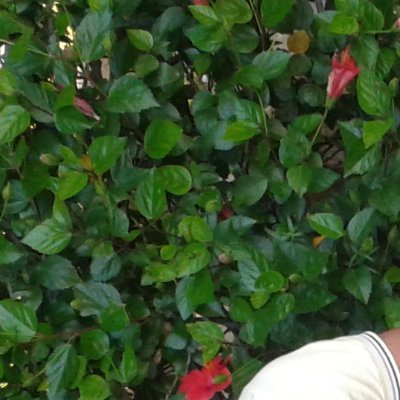 zaraty03's profile picture.