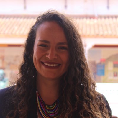 Doctoral Researcher @PRIF_org working on Disarmament, Demobilization and Reintegration of former combatants and post-conflict violence in Colombia