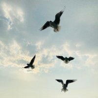 S.K. (@sekaaa97) 's Twitter Profile Photo