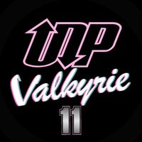 UDP Valkyrie (@udpvalkyrie) 's Twitter Profile