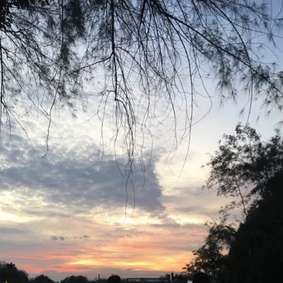 nana_nfza's profile picture. 