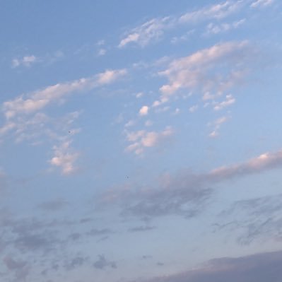 alienexits's profile picture. 