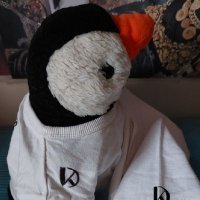 Junho The Penguin(@JunhoThePenguin) 's Twitter Profile Photo