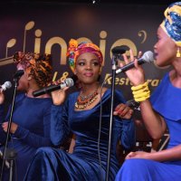 Puli Rampoana (@puliramp) 's Twitter Profile