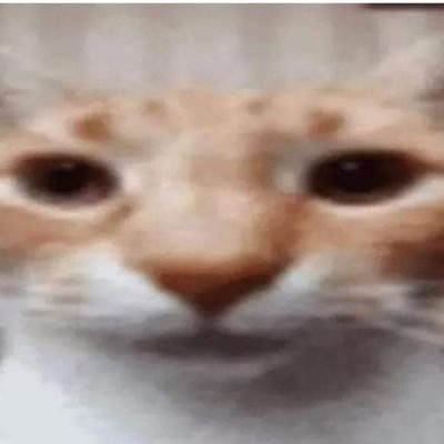 elguasa_guasa's profile picture. 