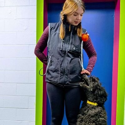 Dog Behavior, Training and Enrichment