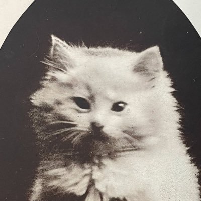 gai_gai_fuckyou's profile picture. もりみんを応援しよう！