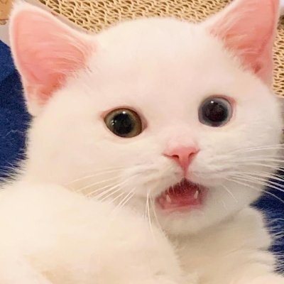Klmtq ✦ ♄ ✦ emote artistさんのプロフィール画像
