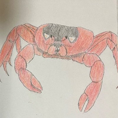 IKEKAWA_shiryu's profile picture. @IKEKAWA_fallakeの支流、だいたい水質汚濁(つまり普段言わないことを言う)   なんか送りつける用:https://t.co/cHCU3C1ntT