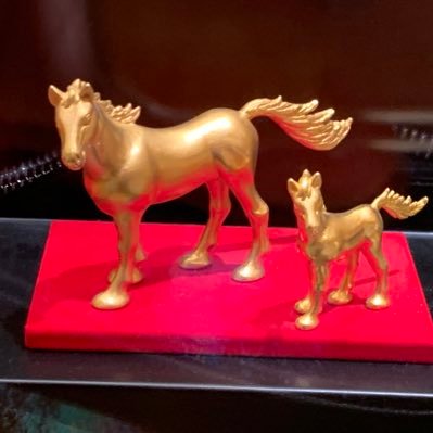 taiyou_66's profile picture. 50代の琉球ゴールデンキングスファンです😊 見るだけのTwitterですが皆さんに癒されてます‼️無言フォローばかりですみません🙏