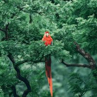 飞天 (@qcfiuev0sovcssr) 's Twitter Profile