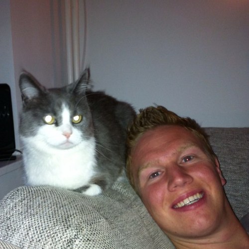 nibor85's profile picture. 