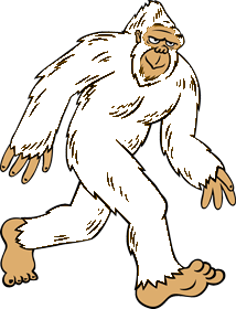 Bigfoots ir jauna un dinamiska florbola komanda ar lielisku izaugsmes potenciālu! Nāc, atbalsti un pievienojies!