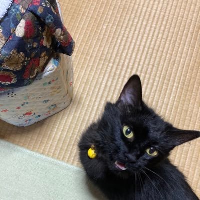 fTcgxTNTYPD2mhZ's profile picture. 