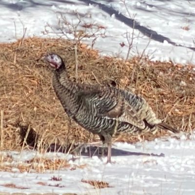 samco2803's profile picture. 