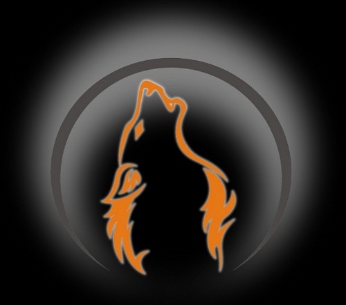 stacktrace_GmbH's profile picture. 