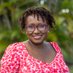 Kandace Chimbiri writing as K.N Chimbiri (@knchimbiri) Twitter profile photo Kandace Chimbiri writing as K.N Chimbiri (@knchimbiri) Twitter profile photo