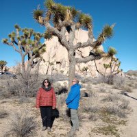 alvaro ardohain (@alvarardoh) 's Twitter Profile