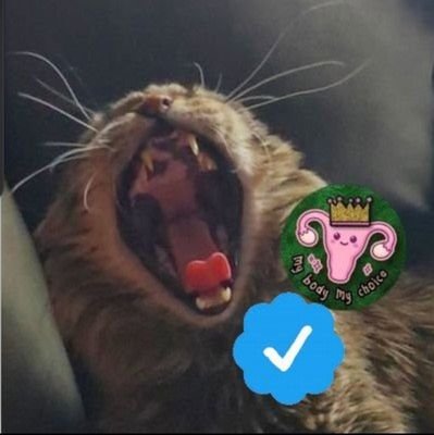 Liberal crazy cat lady #voteblue 🚫NO DMs #CatsOfTwitter #GunControlNow #AbortionIsHealthcare #ChiefsKingdom #StandWithUkraine #food