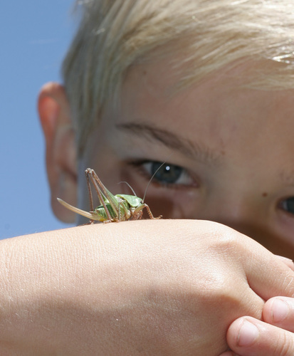 SimonCoombes's profile picture. 