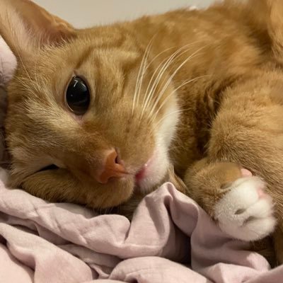 black12_jet's profile picture. 도경수 보고싶다,