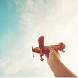 raj320ia's profile picture. 👨‍✈️✈️,  Tweets are just random ranting in personal capacity as citizen of India