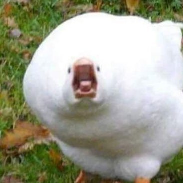 endraxlus's profile picture. 23 socially awkward and autistic
Don't expect much