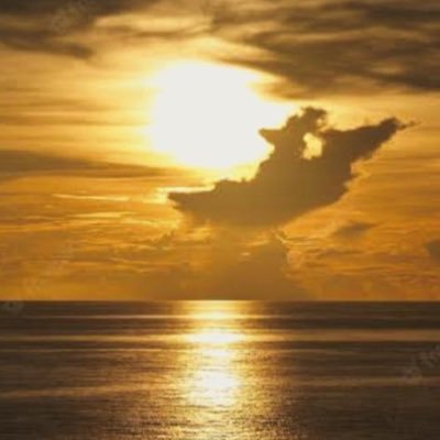 OmarRuizNavarro's profile picture. 