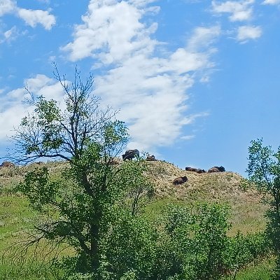 AlgesterXe's profile picture. i dont actually know how to use this platform