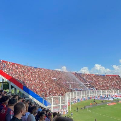 Hincha de San Lorenzo.