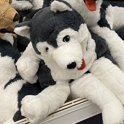 runrunrun0109's profile picture. 27歳のひとりごと