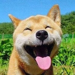 アホさんのプロフィール画像