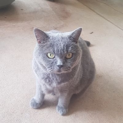 RejeanaFKE's profile picture. 