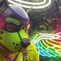 Pup_Lucky 🔜 Doggy Weekend (@duskfox1) 's Twitter Profile