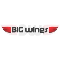 bigwingsllc(@bigwingsllc) 's Twitter Profile Photo